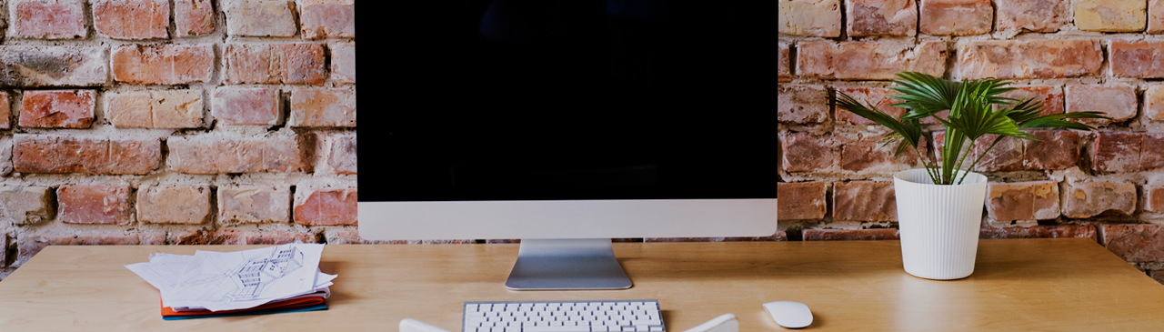 Computer Monitor on Desk with Potted Plant in Front of Brick Wall