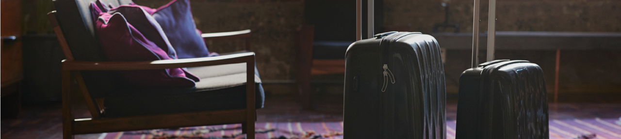 Two Suitcases Sitting in Foyer