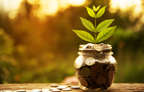 Pot of Change with Plant Growing From It