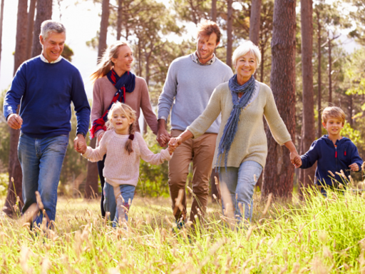 Family Holding Hands Hiking in Woods