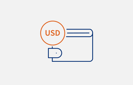 Wallet and USD