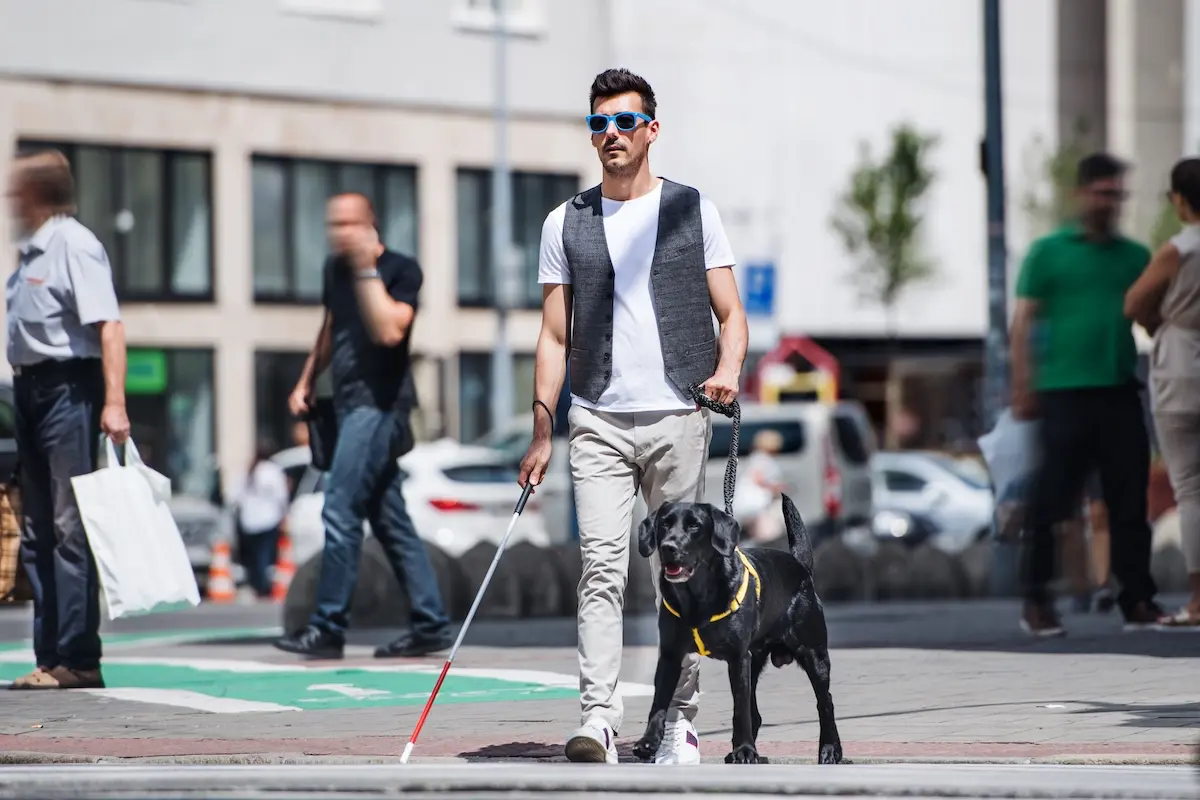 A man with vision loss walking across a city street using a white cane and guide dog.