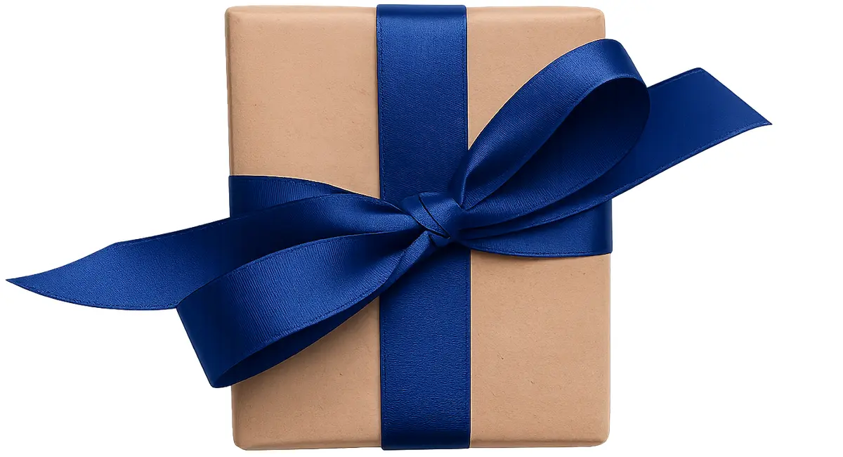 Gift box wrapped in brown paper with a blue ribbon bow.